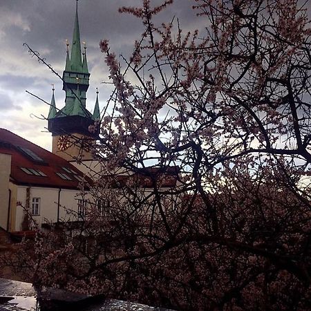 Hotel Althanský palác Znojmo Exterior foto