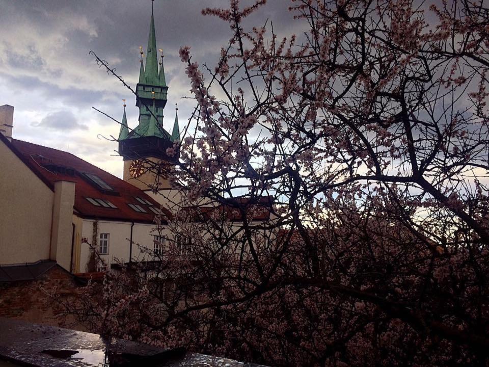 Hotel Althanský palác Znojmo Exterior foto